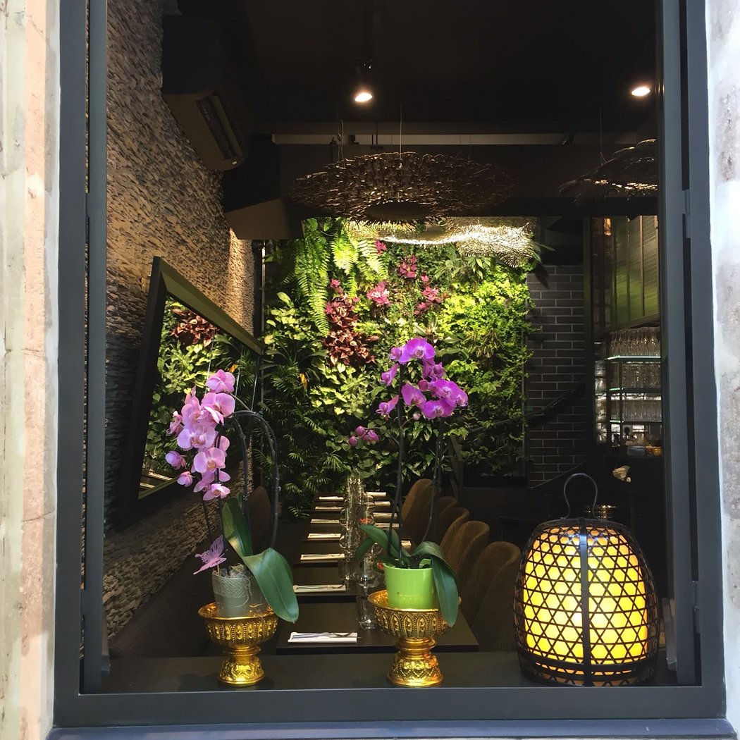 Suan Thaï Le Haut Marais 2